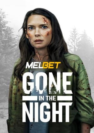 Gone in the Night (2022) 720p WEB-HD [Hindi (Voice Over) + English]