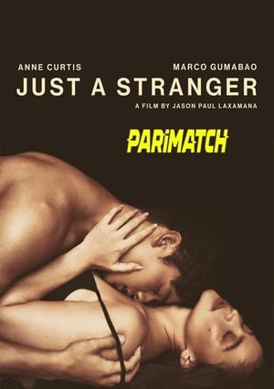 Just a Stranger (2019) 720p WEB-HDRip [Hindi (Voice Over) + English]