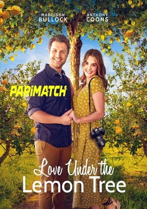 Love Under The Lemon Tree (2022) 720p WEB-HD [Hindi (Voice Over) + English]