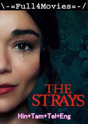 The Strays (2023) 1080p | 720p | 480p WEB-HDRip Multi Audio [Hindi + Tamil + Telugu + English (DD5.1)]